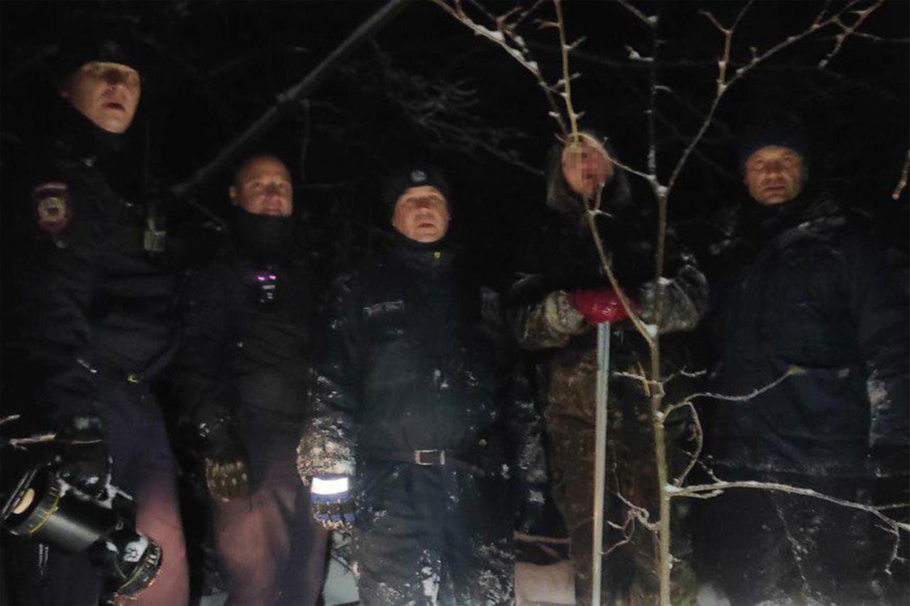 В Подмосковье спасли заблудившуюся в лесу 68-летнюю лыжницу