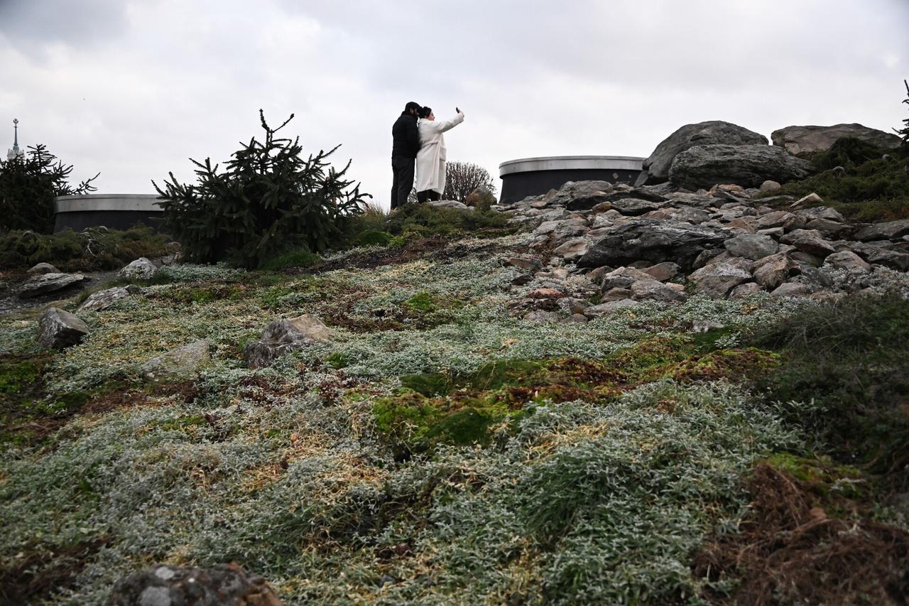 Возможность наступления ранней весны в Москве оценили