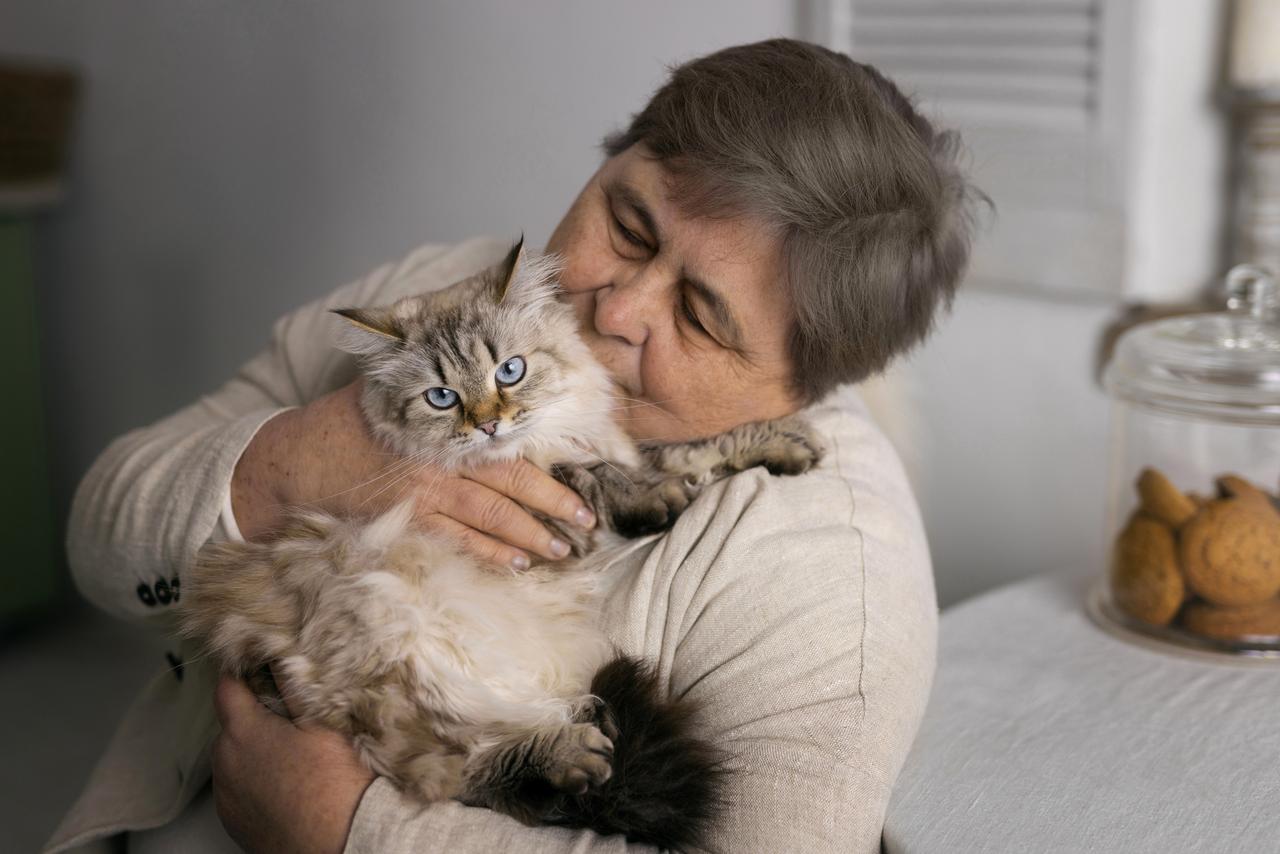 Держать дома кошку стало дороже. Эксперты назвали новую сумму