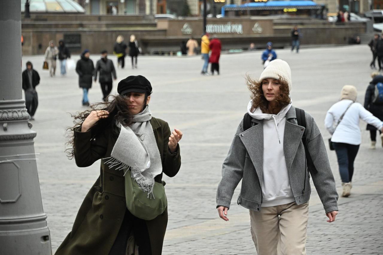 В Москве объявили желтый уровень погодной опасности из-за ветра