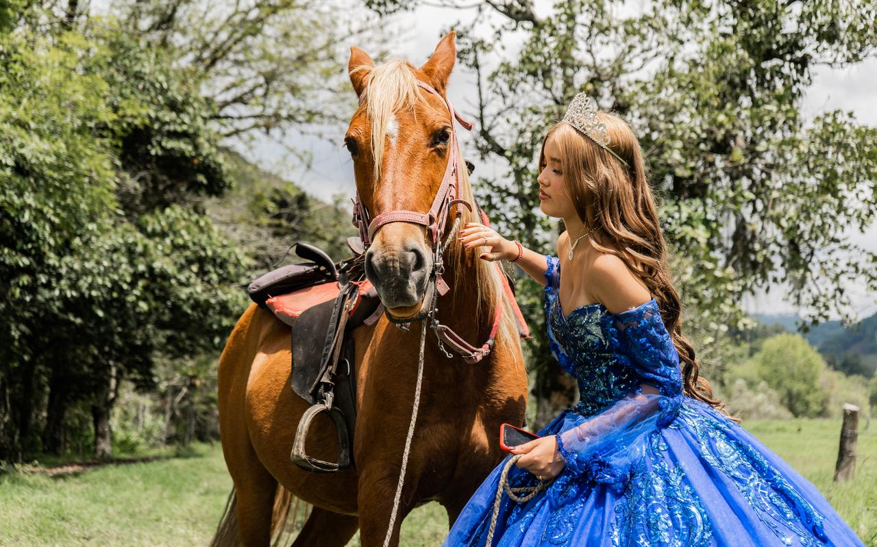 Гендер-пати для кобылы. У состоятельных москвичей набирают популярность вечеринки в честь объявления пола жеребенка