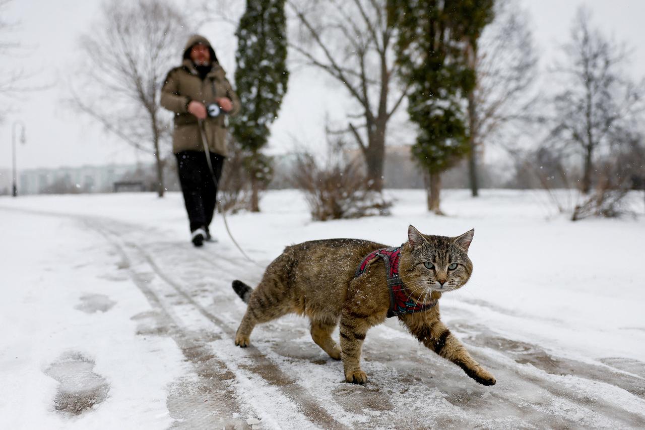 Апрельский снег пришел надолго. Весна вернется только в середине месяца