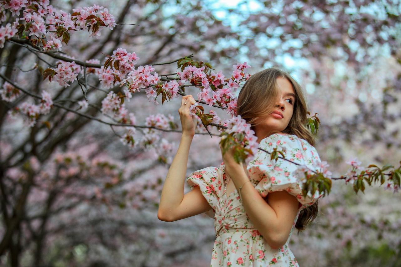 Названы места для любования сакурой в Москве. Цветение продлится до середины мая