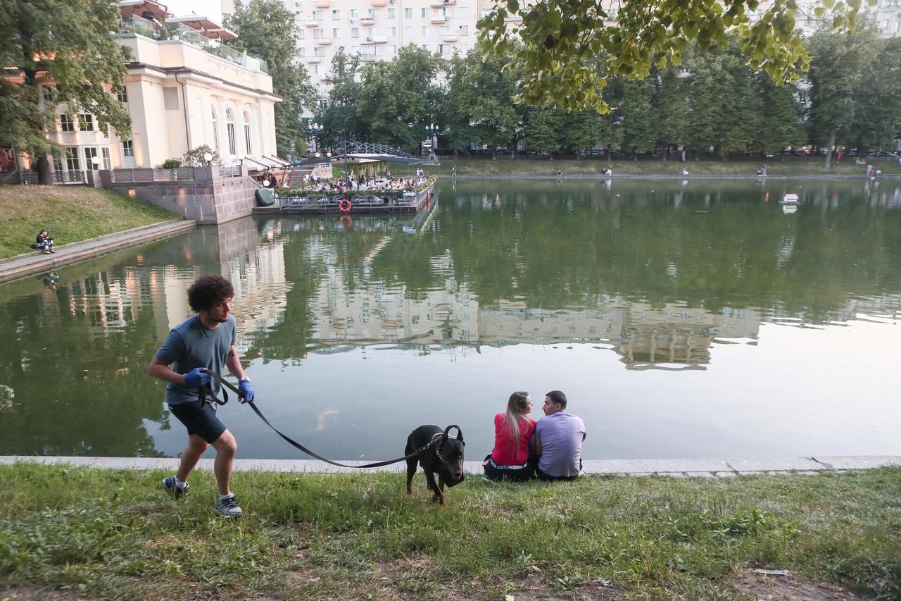 «Даже моя бабушка говорила: "Патрики"!» В соцсетях поспорили о народных названиях столичных районов