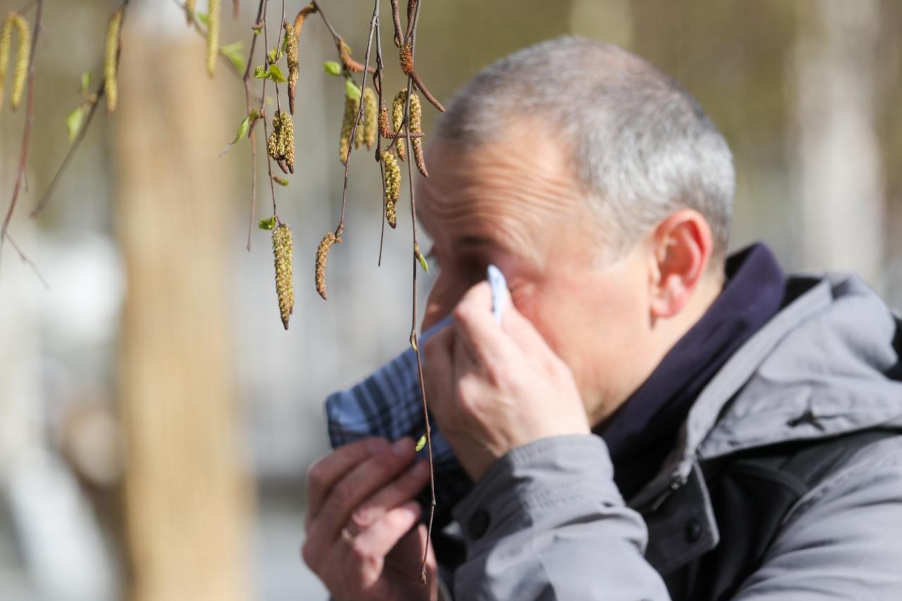 Москвичам дали рекомендации на время активности пыльцы