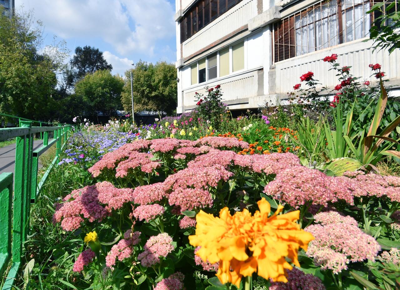 Цветочные воришки довели до отчаяния