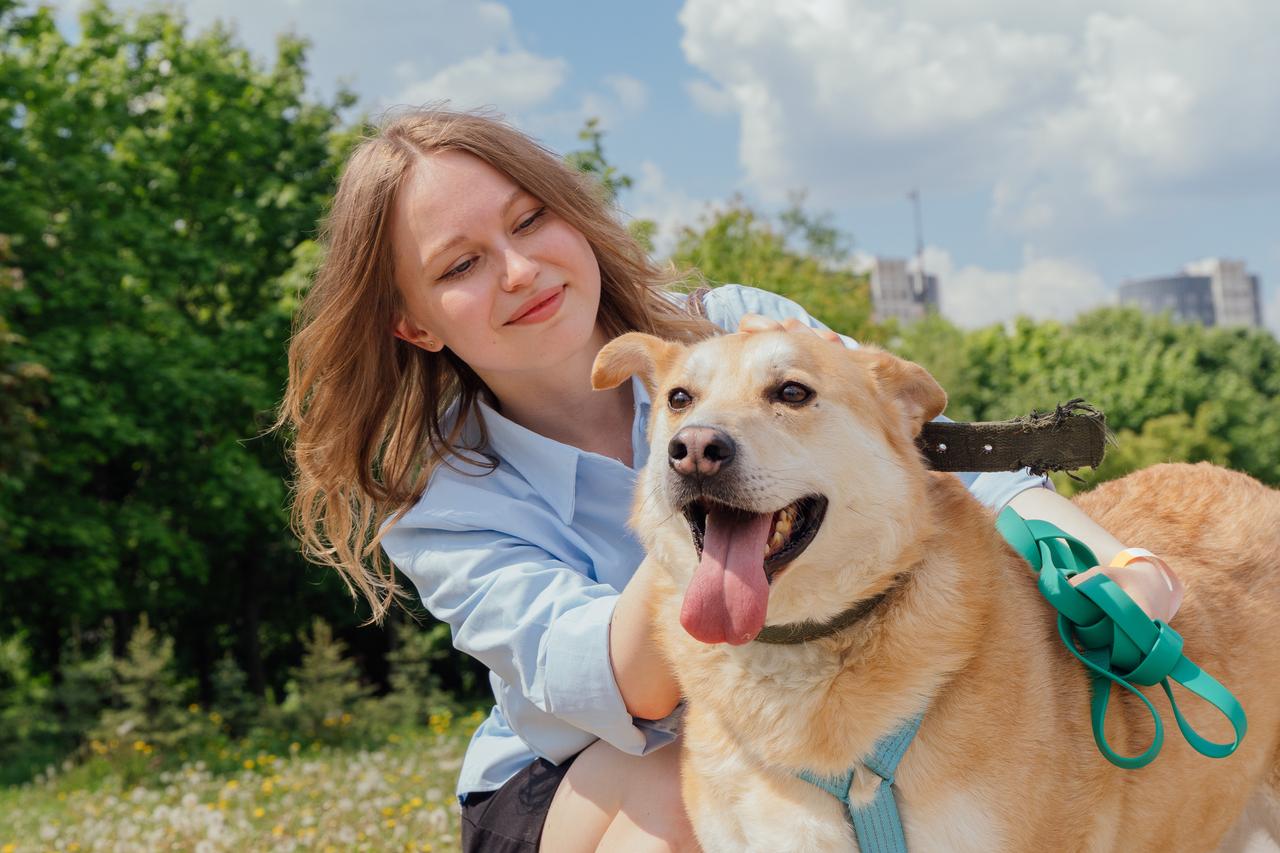 Больше 40 тысяч москвичей приняли участие в фестивале «Лапки»