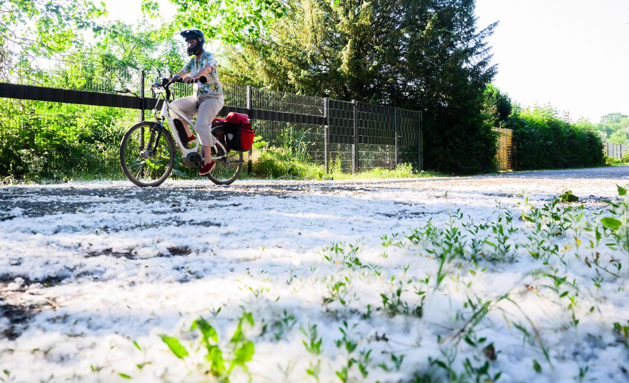 Через несколько дней Москву накроет тополиная метель