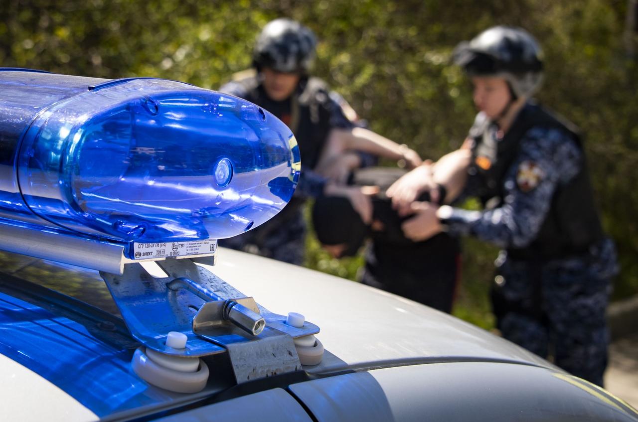 В Москве пьяный мужчина оголился рядом с детским садом и подрался с прохожими