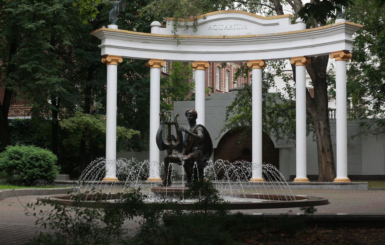 А саду «Аквариум» начнут кормить «русским культурным кодом»