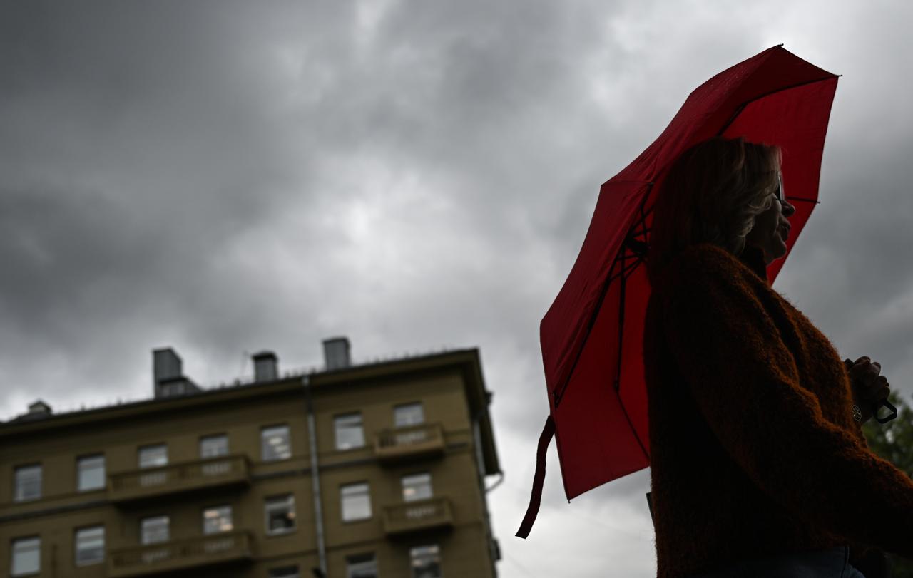 Москвичей предупредили о грозе с ветром в субботу