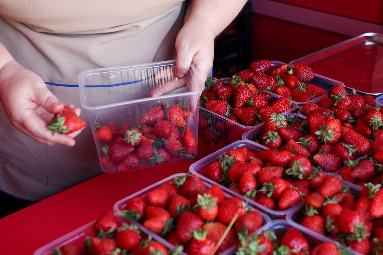 Ягодные мафиози вышли на охоту! Соседи могут остаться без денег