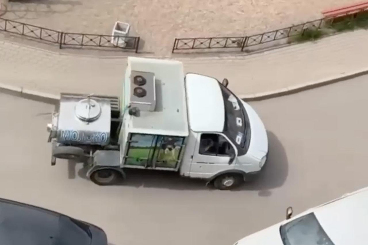 В Москве замечен мычащий молоковоз