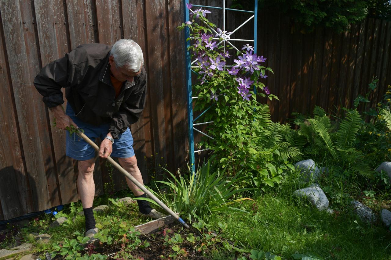 Московских дачников предупредили о тюремном сроке за неправильные грибы