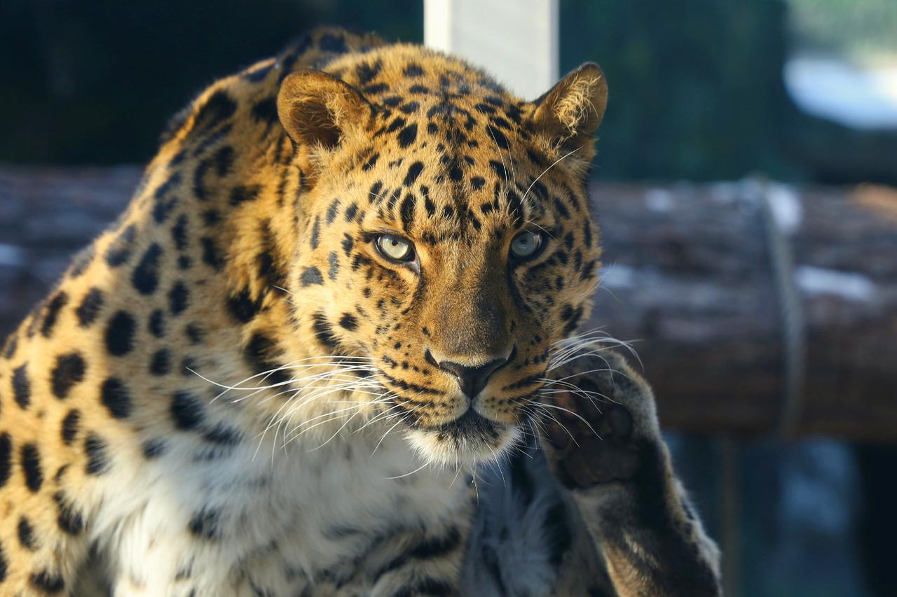 Вышли в онлайн.
