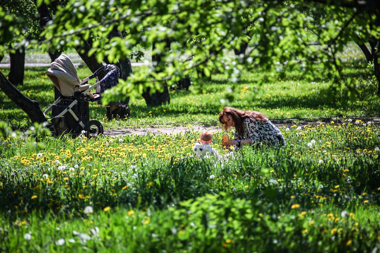 Москвичка назвала подходящие для поездок с детьми места. Выбор оказался неожиданным