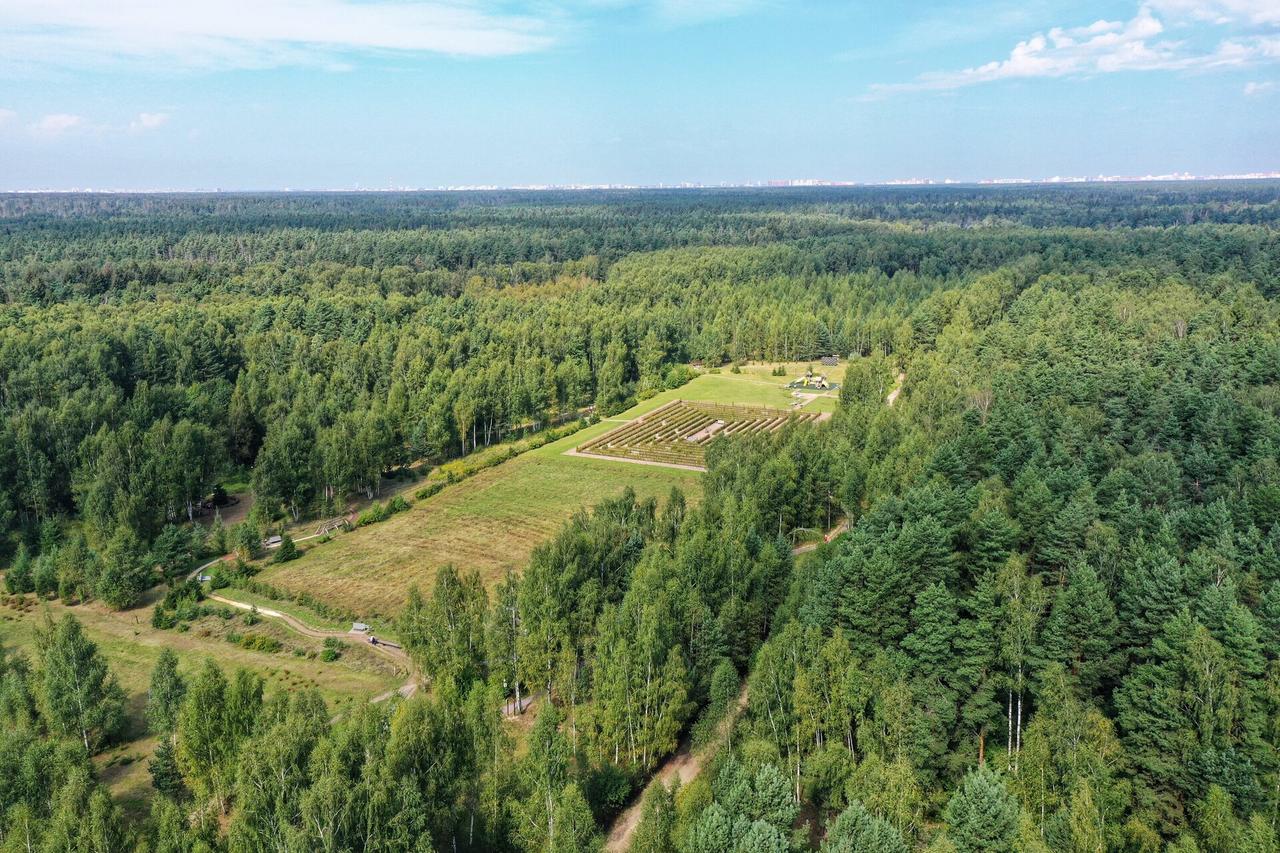 Зеленый каркас Москвы поддержит высокий уровень биоразнообразия в столице