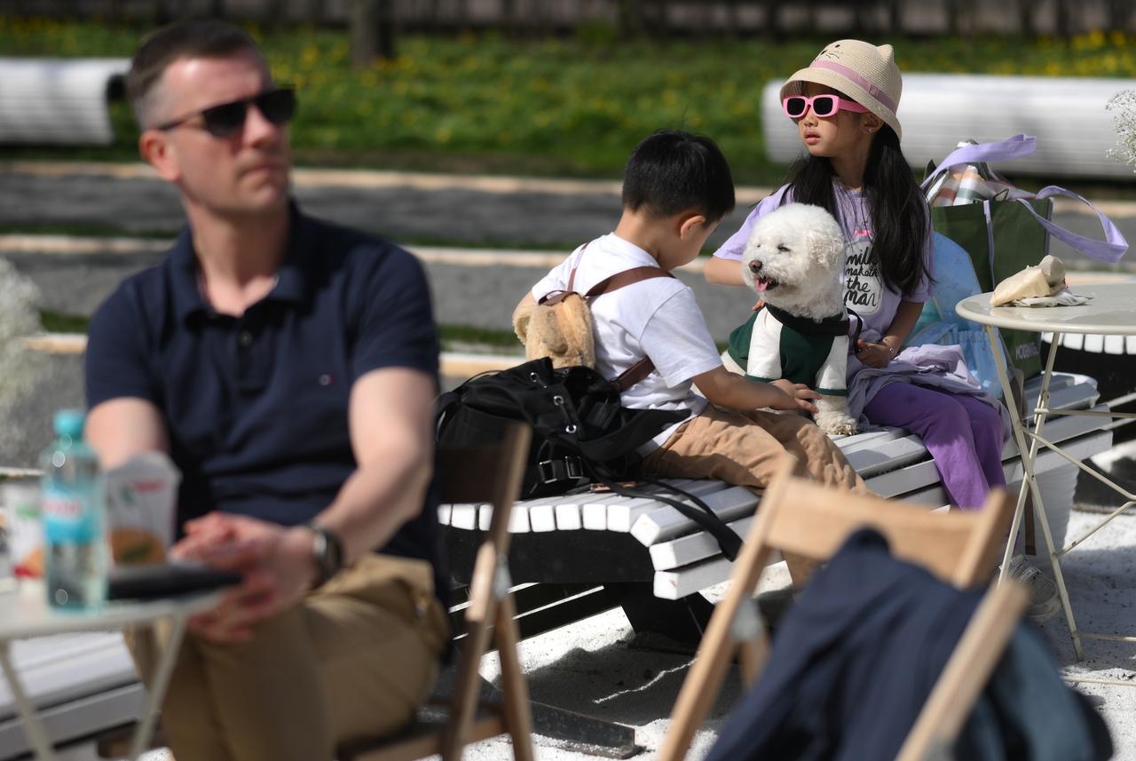 Москва названа лучшим городом для жизни с собакой