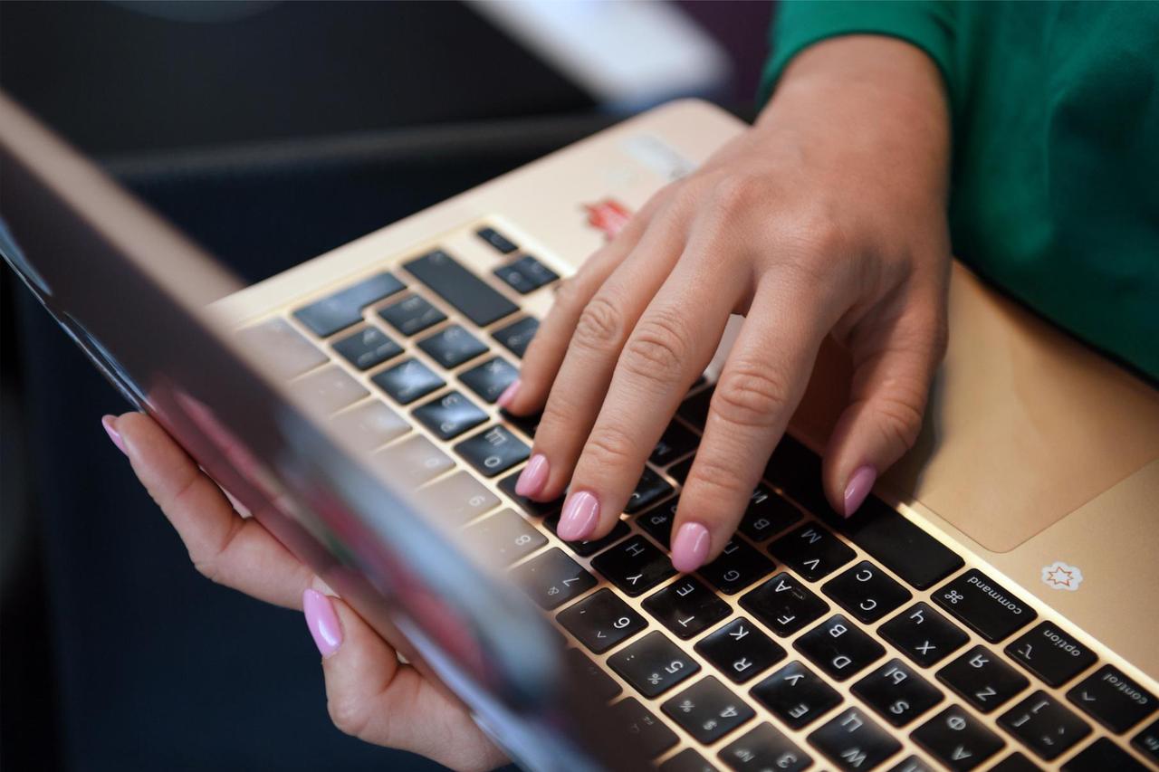 В Подмосковье запустили чат-бот для поиска пропавших питомцев