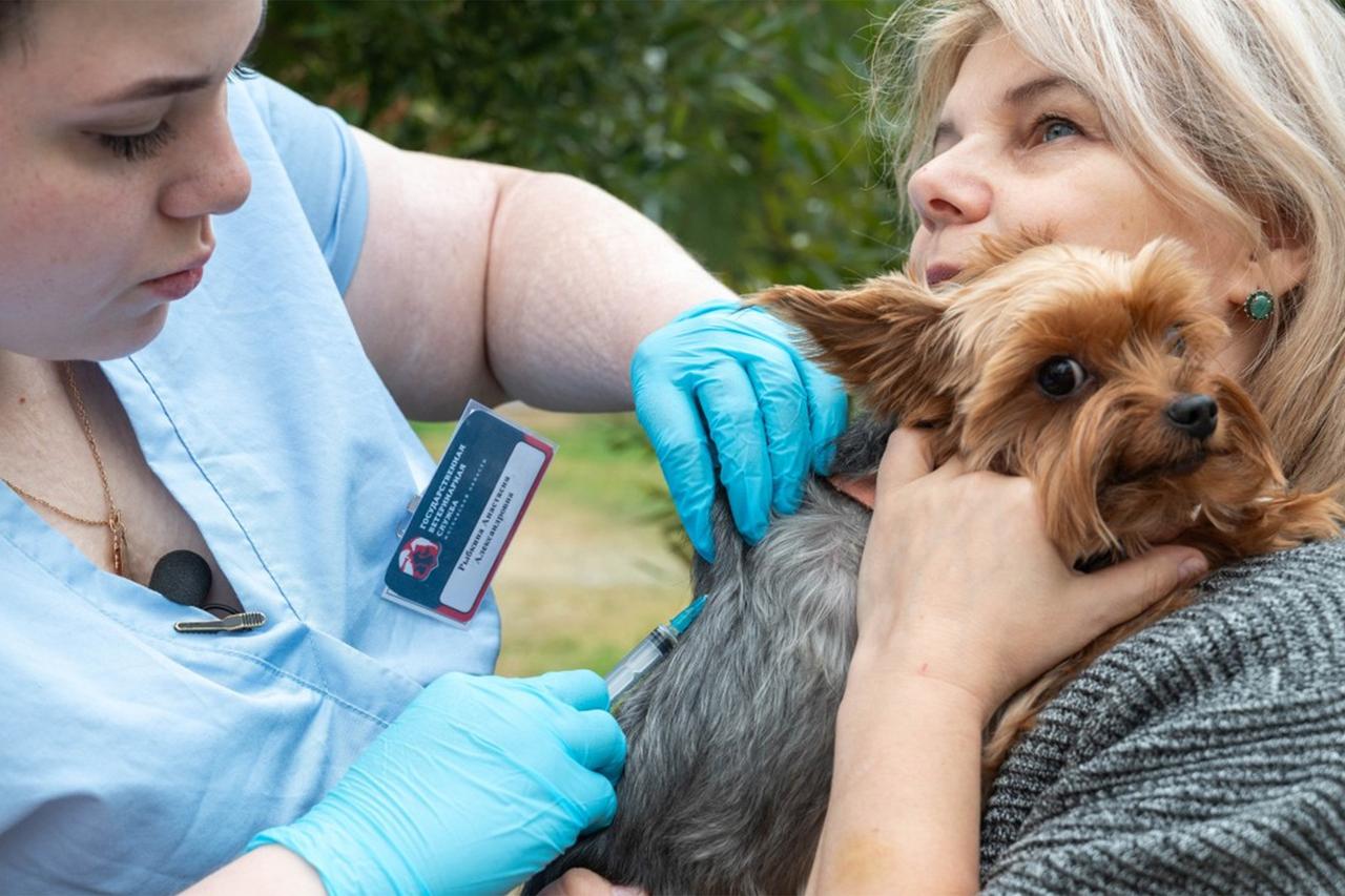 В сентябре в Подмосковье пройдет акция по вакцинации домашних животных