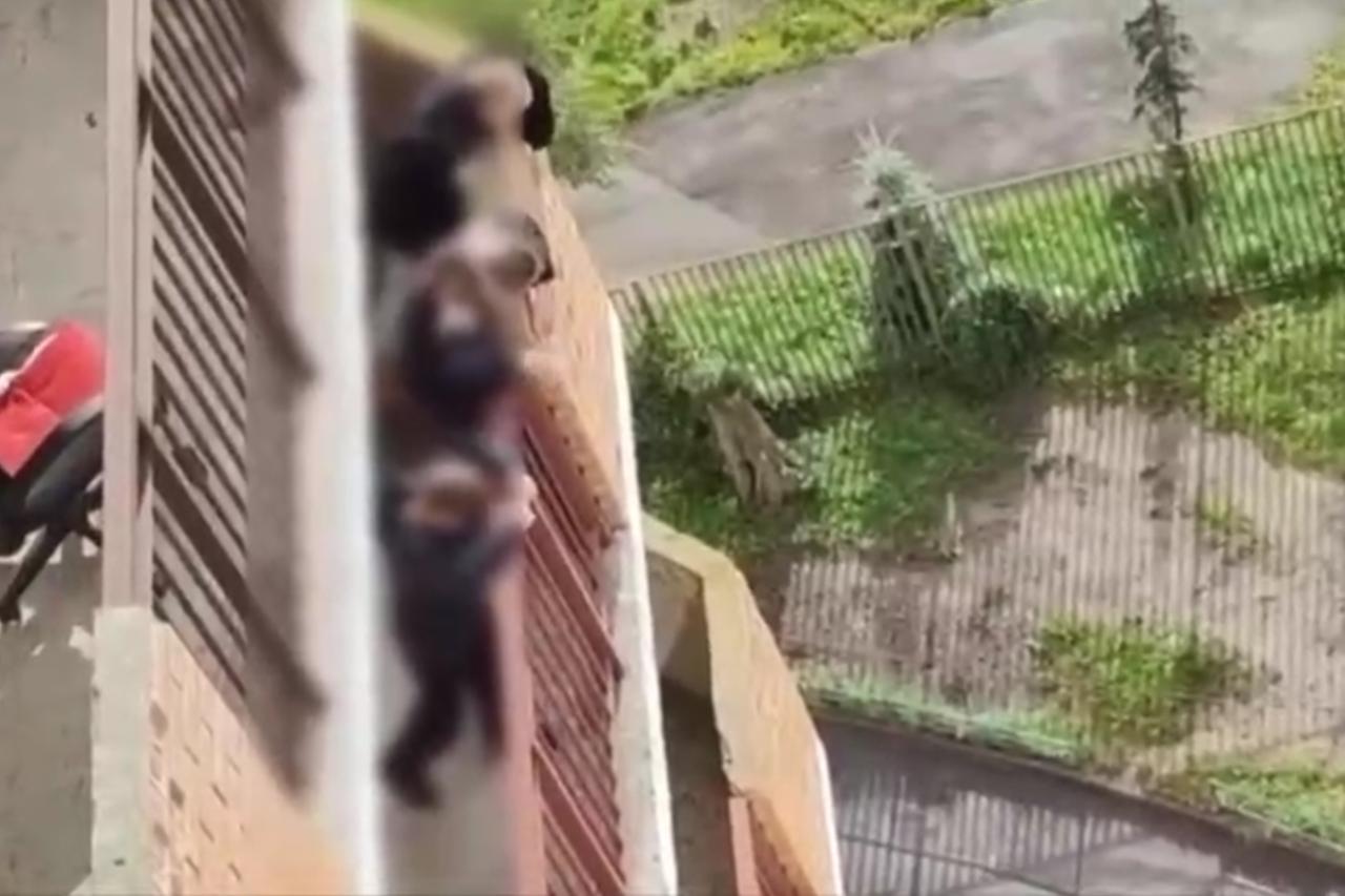 У детей в Подмосковье появилось опасное развлечение с кирпичами на балконе