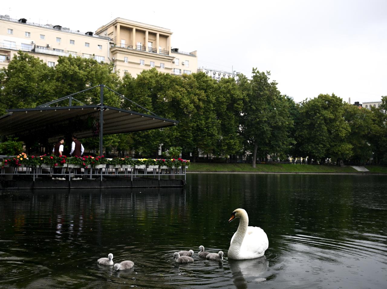 Собянин подсчитал число летних веранд в Москве