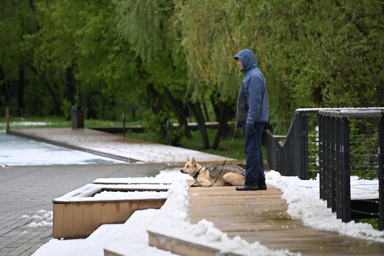 Москвичам назвали дату первого снега