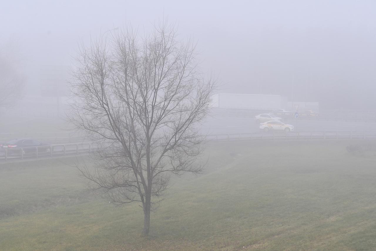В Подмосковье объявили «желтый» уровень погодной опасности из-за тумана