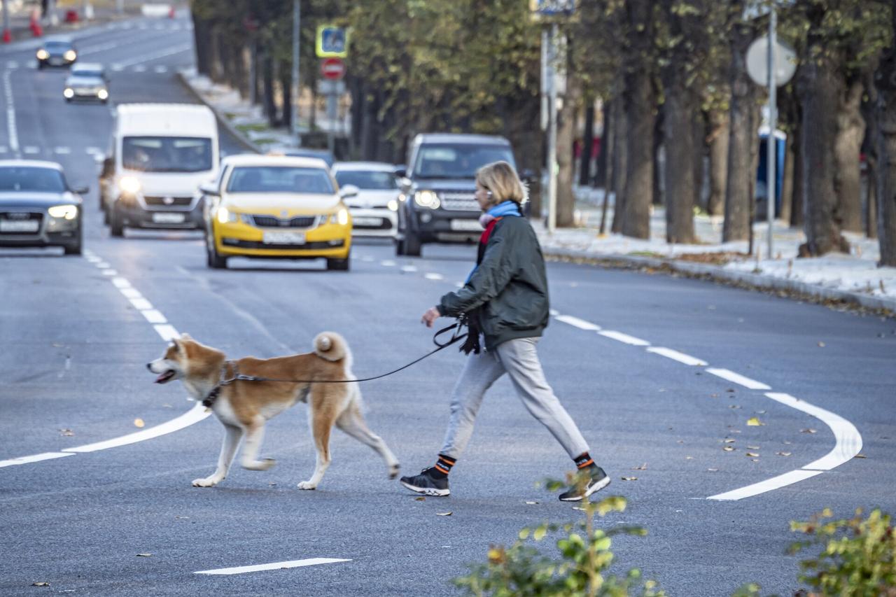 Москвичам назвали сроки первых осенних дождей
