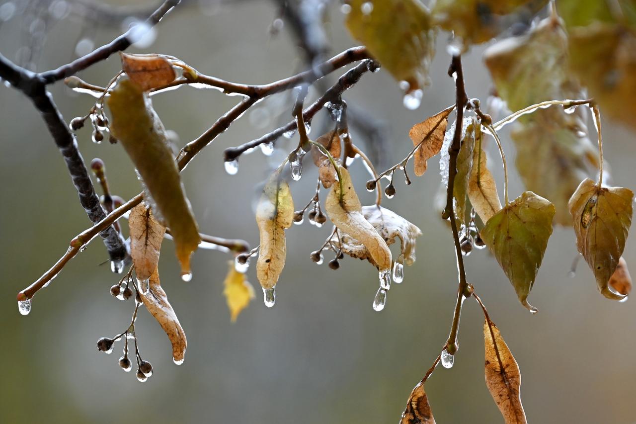 Жителей Подмосковья предупредили о заморозках