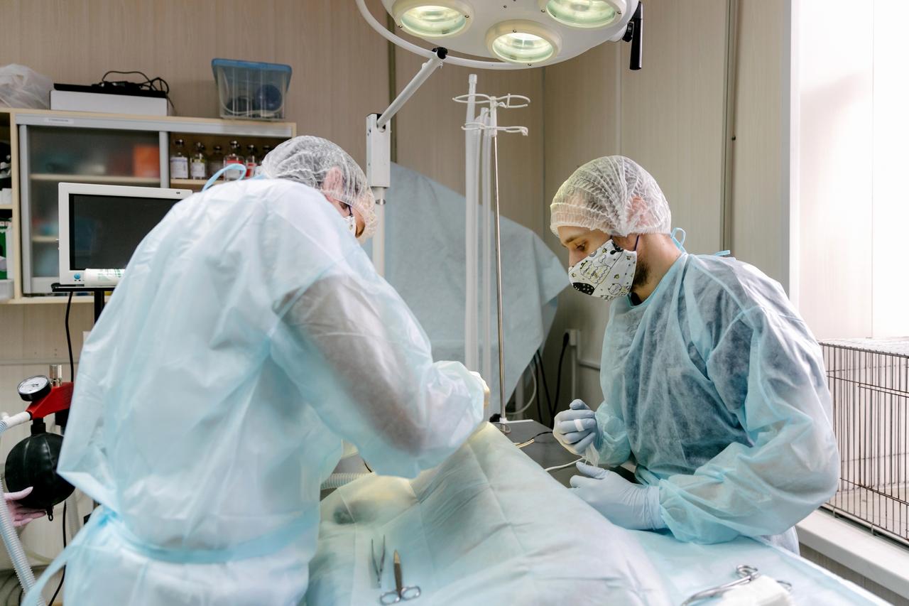 В Москве едва спасли сломавшую пальцы во время драки с зеркалом игуану