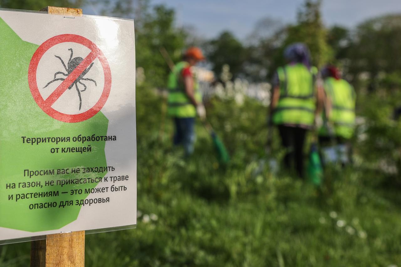 Москвичей предупредили о новой волне активности клещей