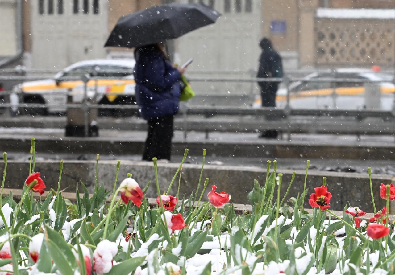 Москвичей предупредили о первом снеге