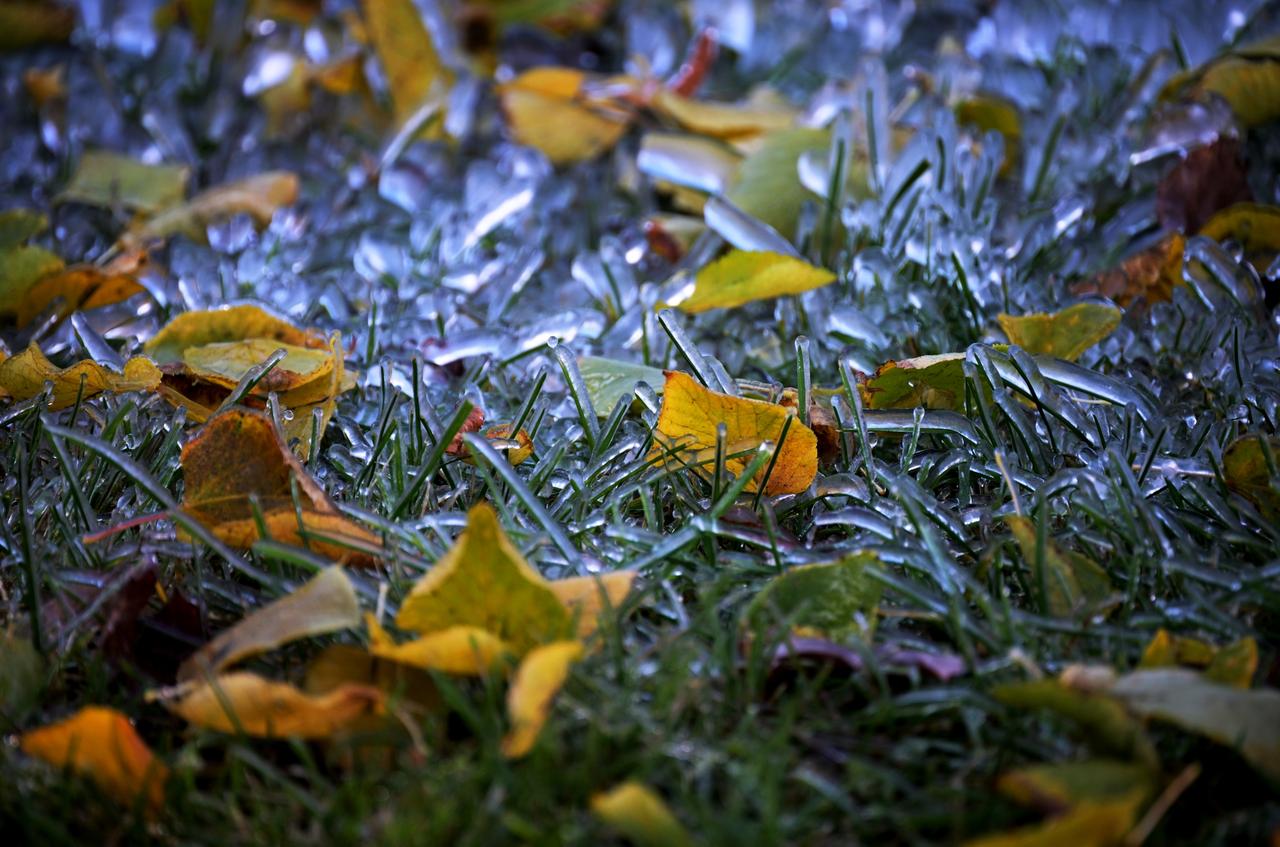 Москвичам рассказали о погоде в последние выходные сентября