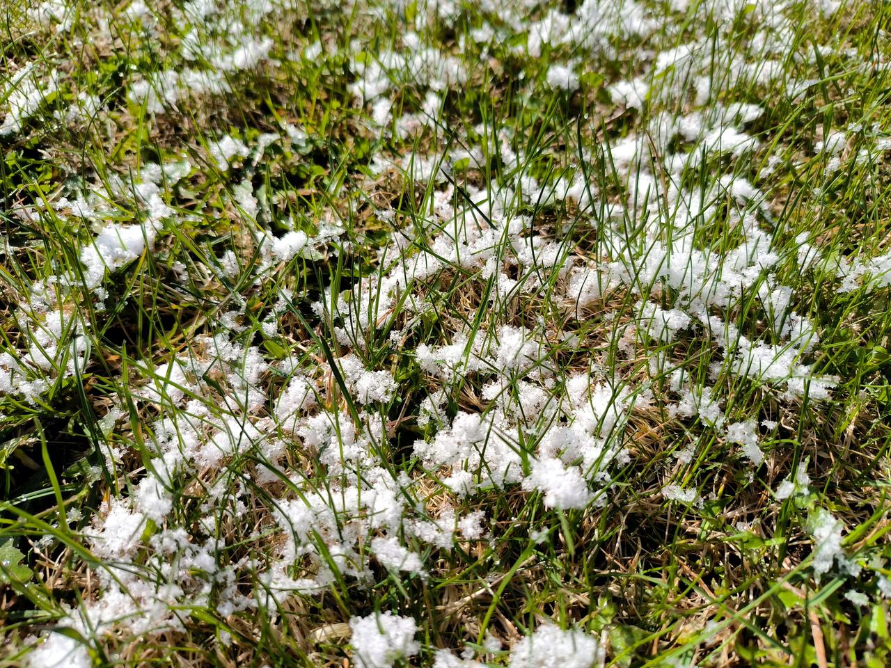 Москвичам пообещали заморозки в конце сентября