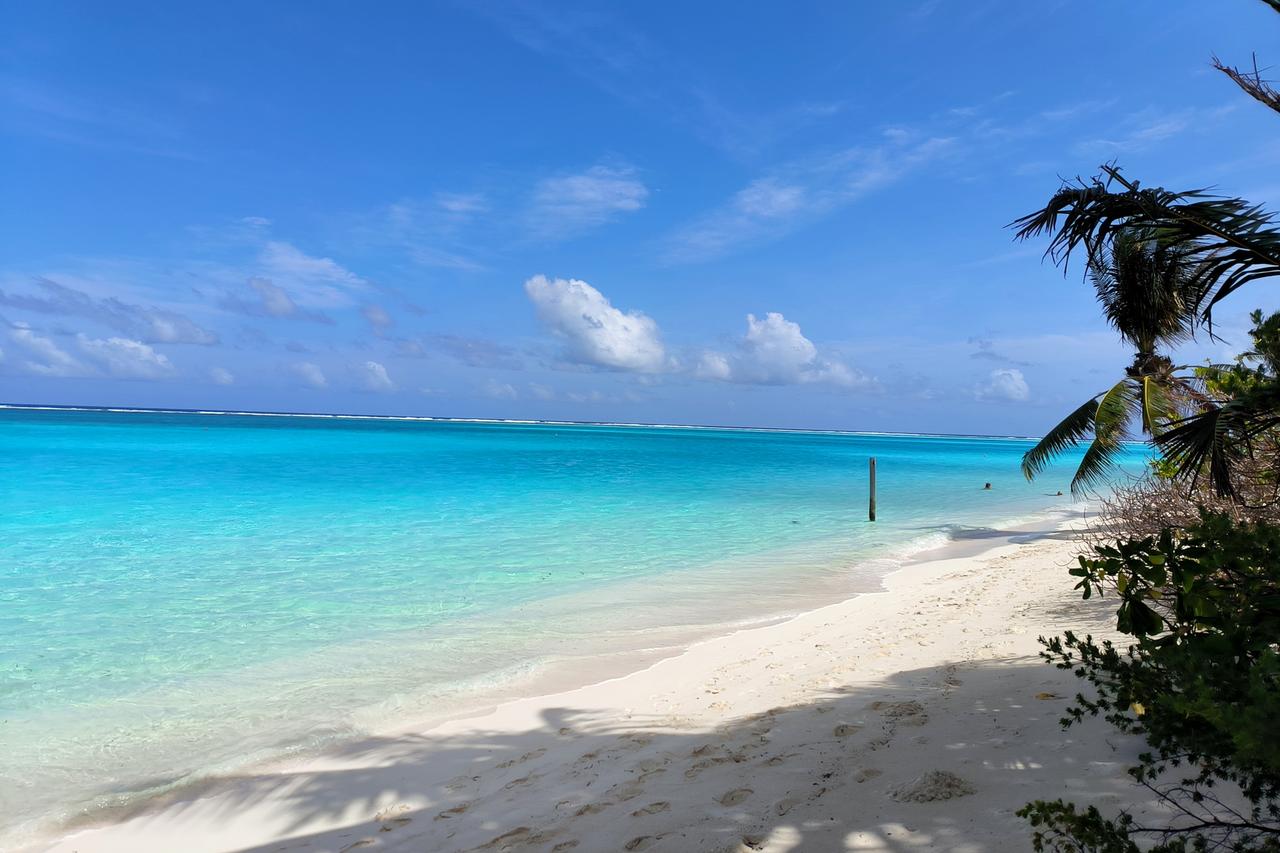 Эксперт допустил изменение климата в Москве через 50 лет