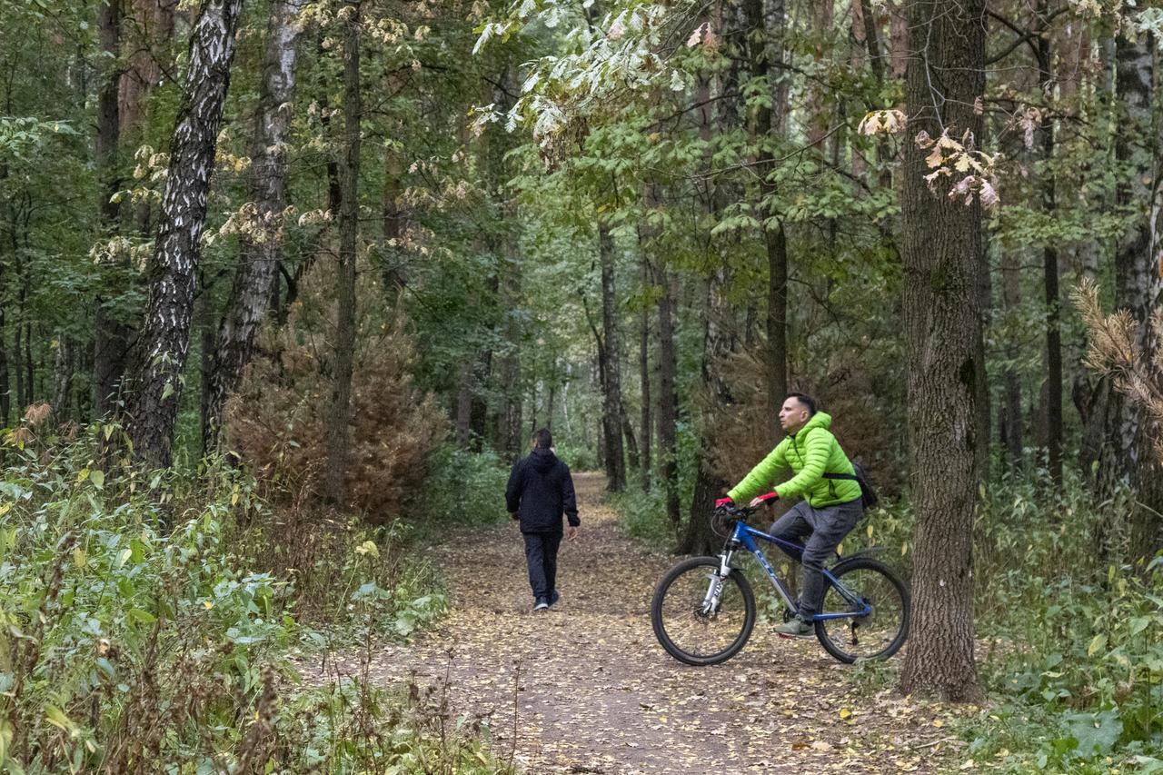 Холодная погода задержится в Подмосковье до конца недели