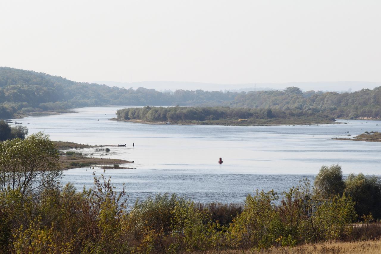 В Подмосковье объявили опасность из-за маловодья