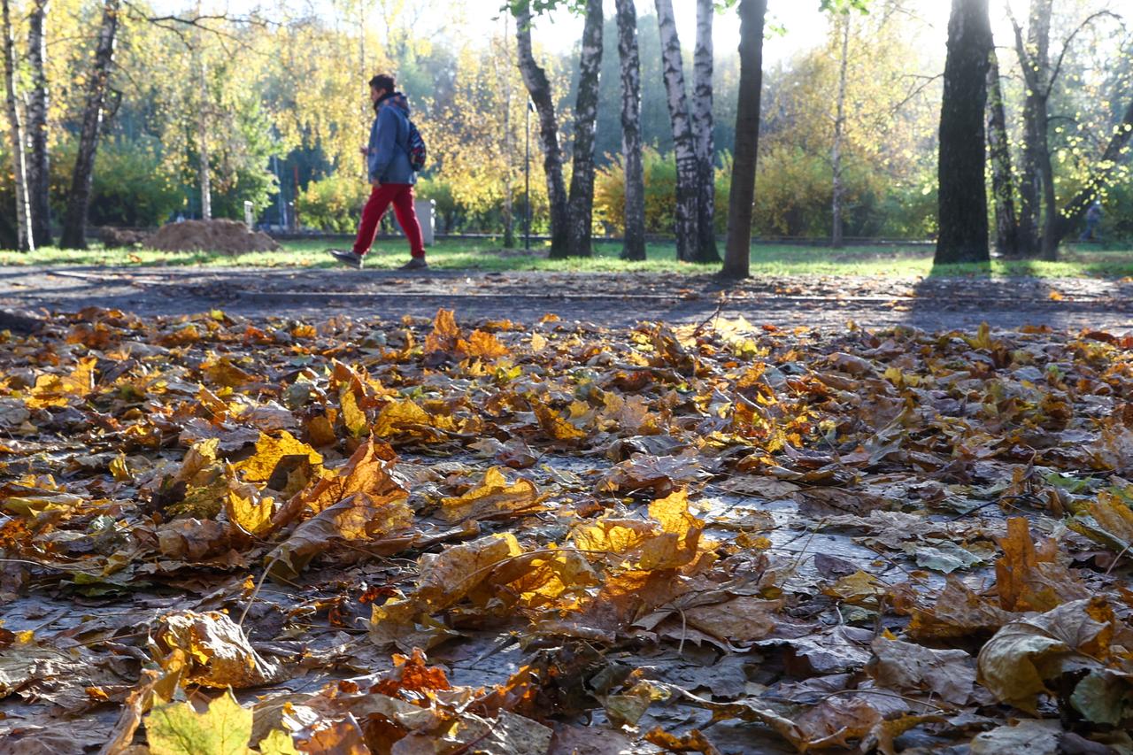 Москвичей предупредили о заметном похолодании
