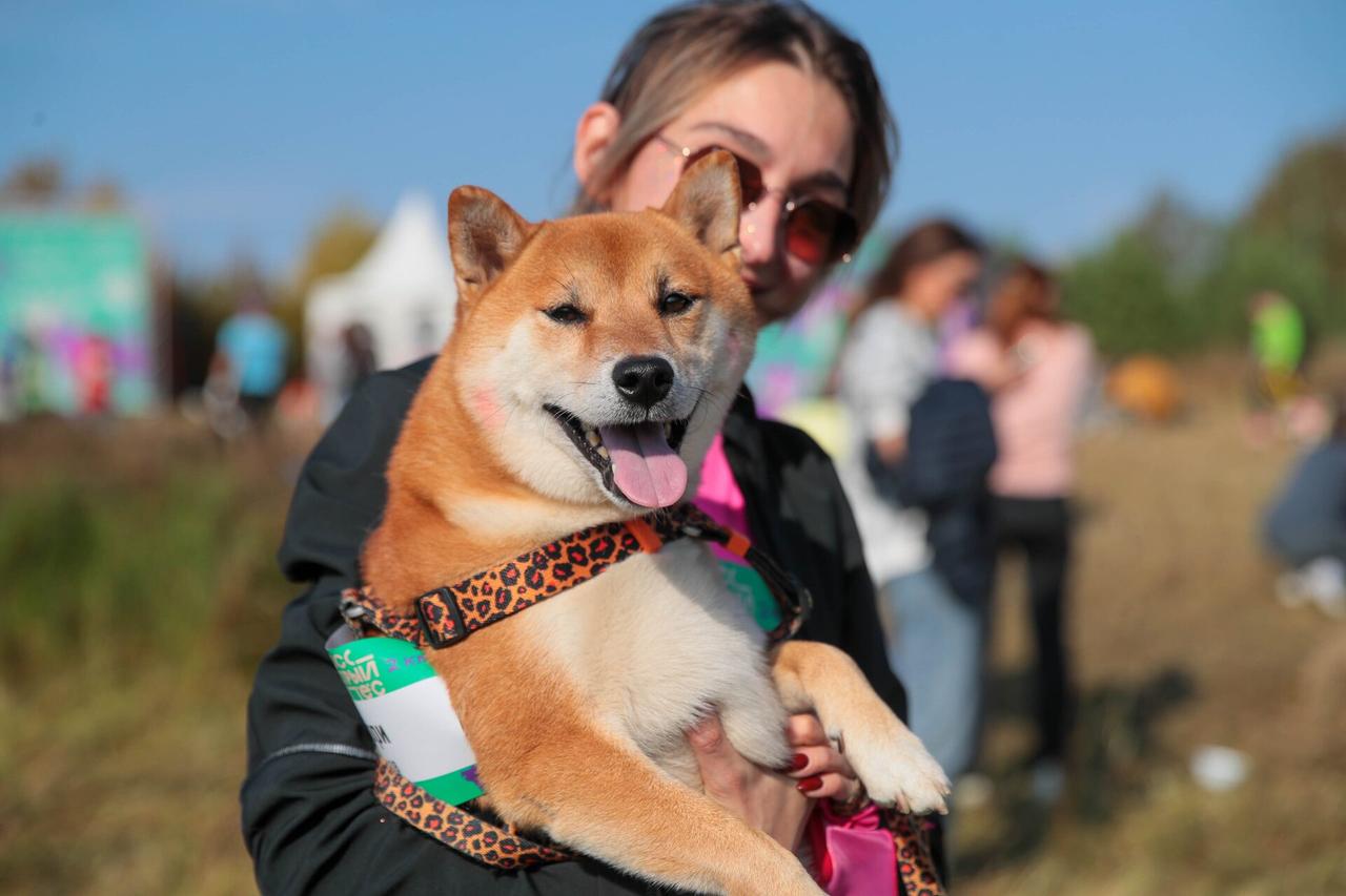 Соревнования с домашними животными пройдут в Москве в выходные