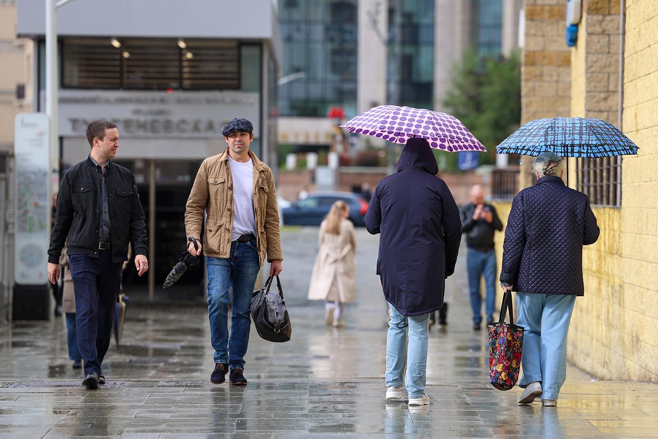 Москвичам пообещали избавление от насекомых
