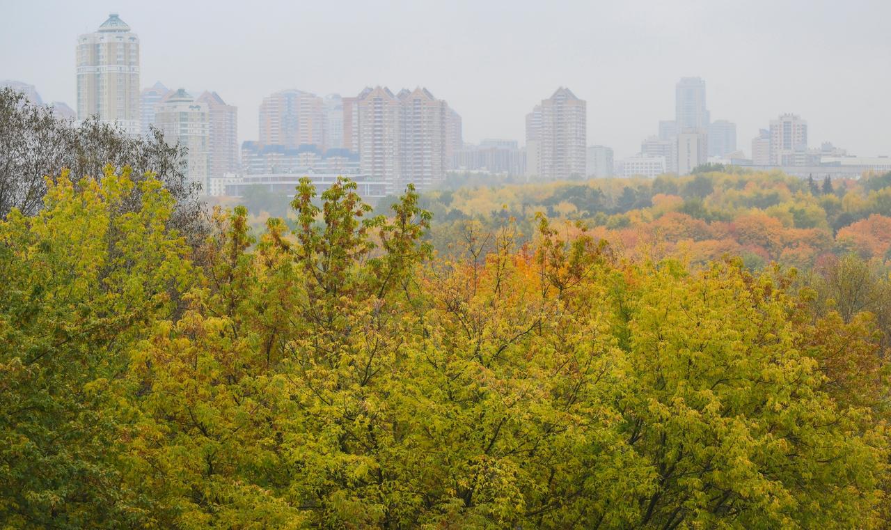 В Москве закончился сезон туманов