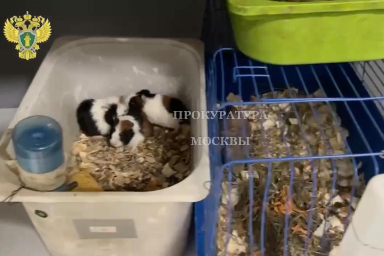 В московском контактном зоопарке нашли нарушения