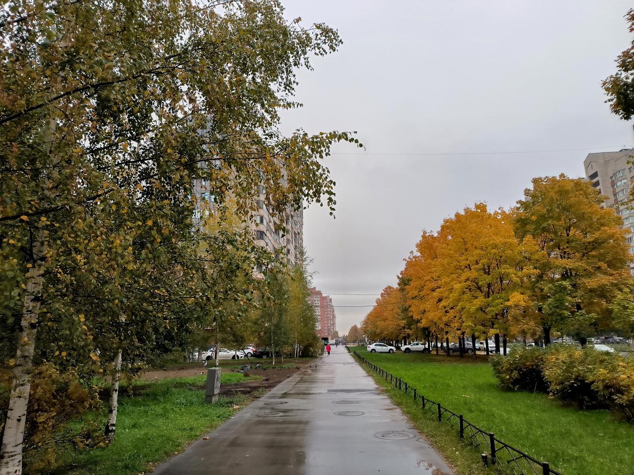 Москвичам пообещали потепление