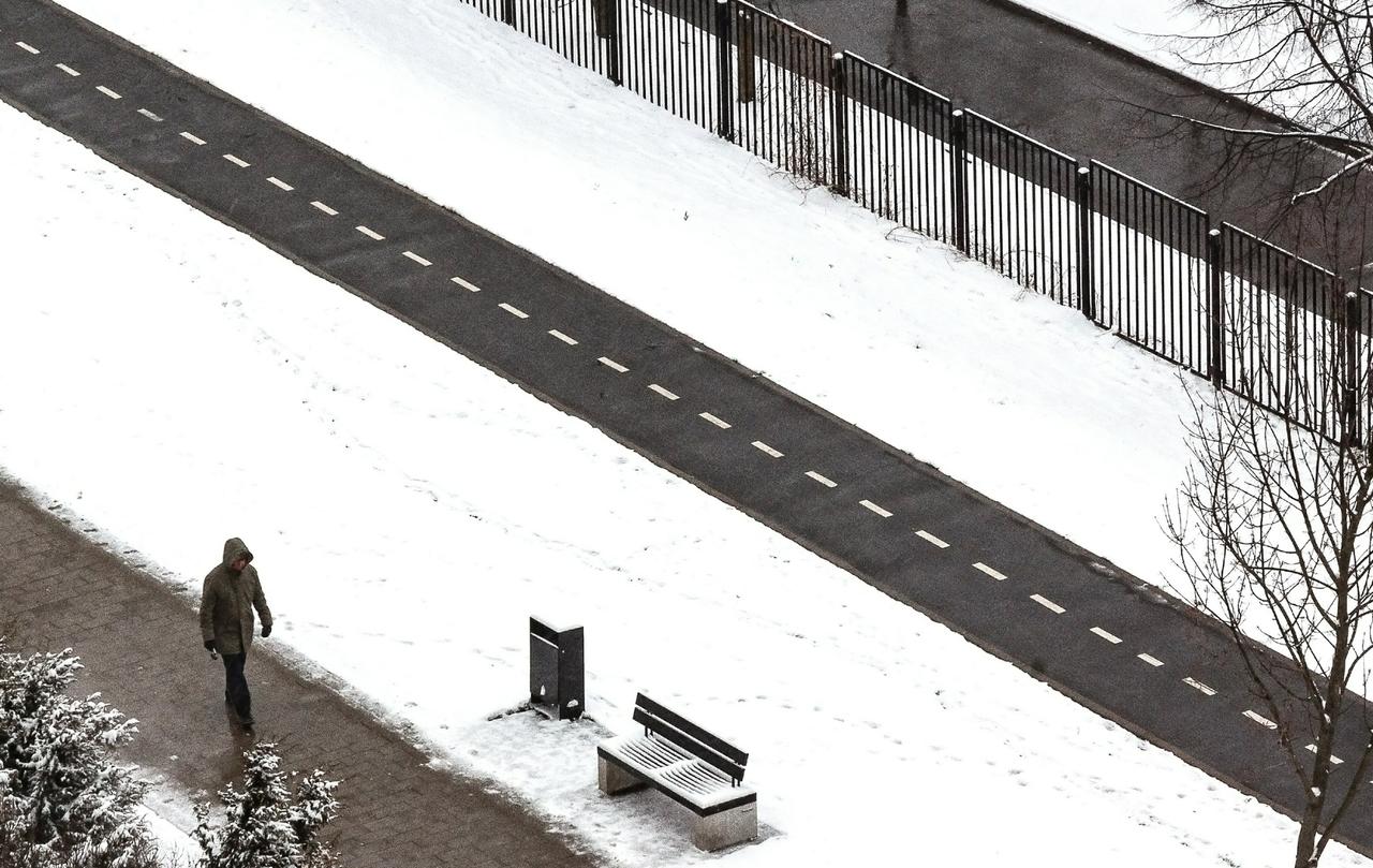 Раскрыт срок появления устойчивого снежного покрова в Москве