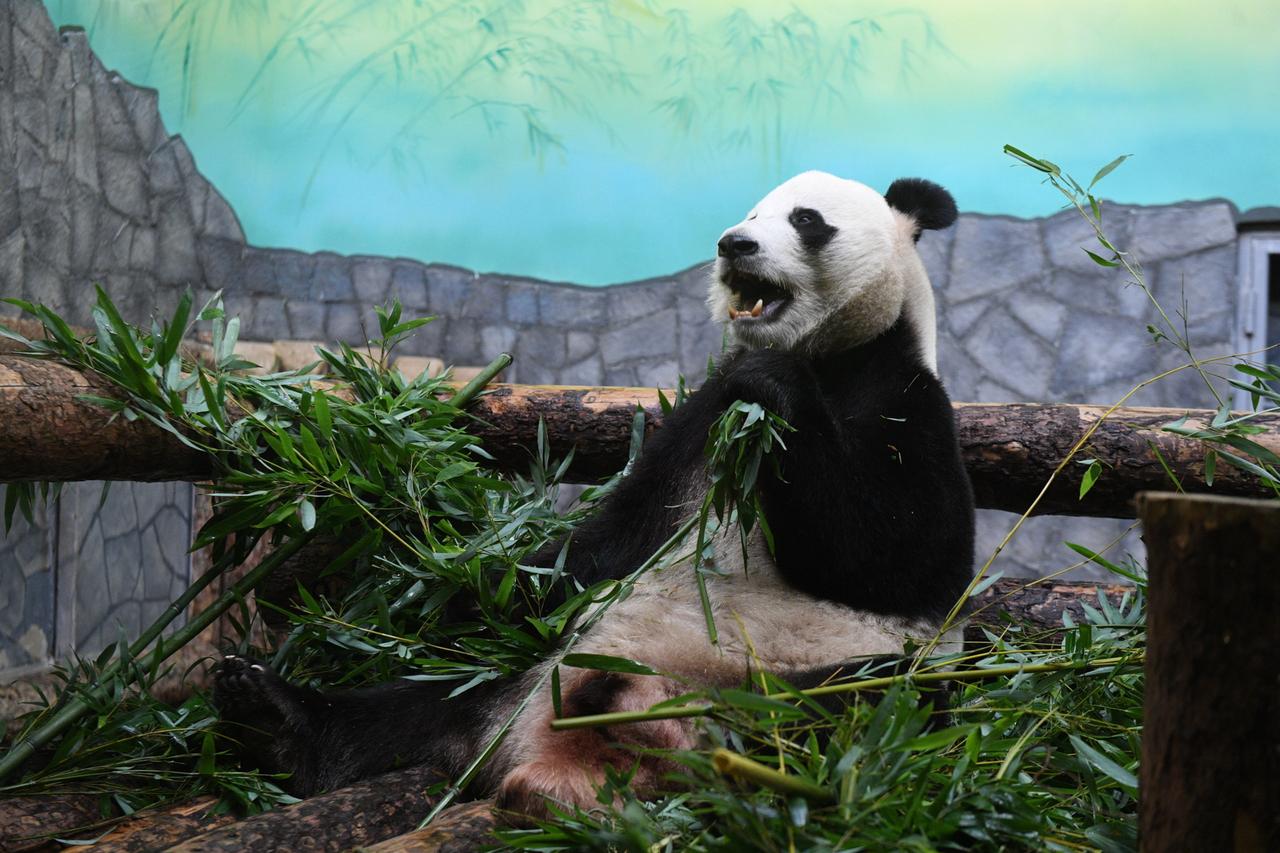 Московский зоопарк перешел на зимний режим работы