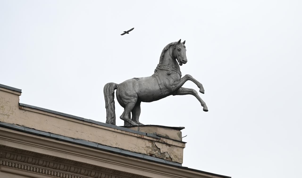 Названы сроки завершения реконструкции Московского ипподрома