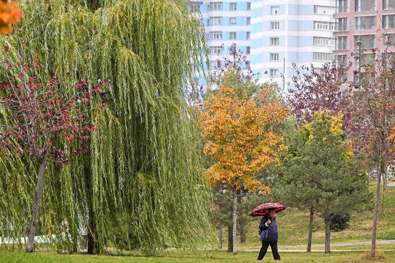 Москвичей предупредили о желтом уровне погодной опасности