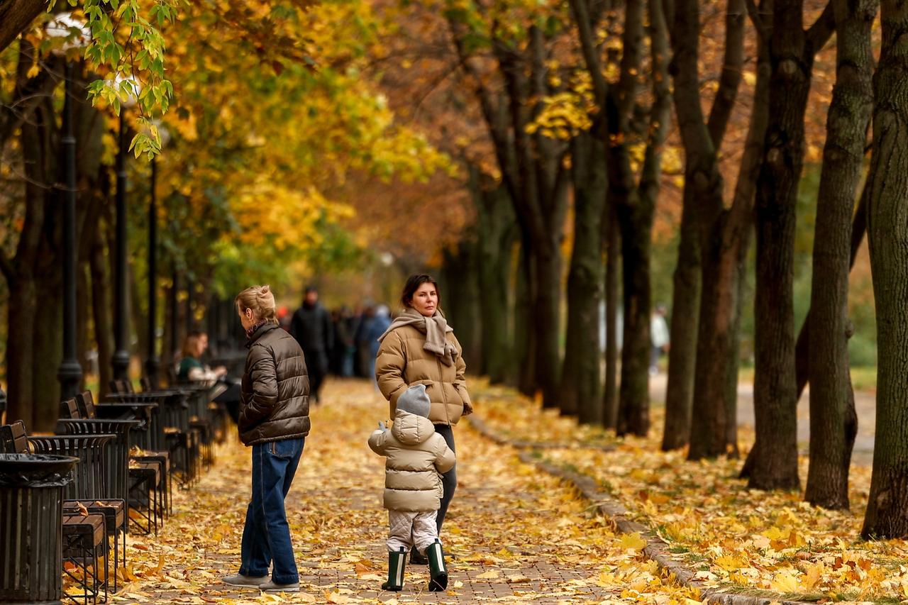 Москвичей призвали готовиться к дождям вместо снега