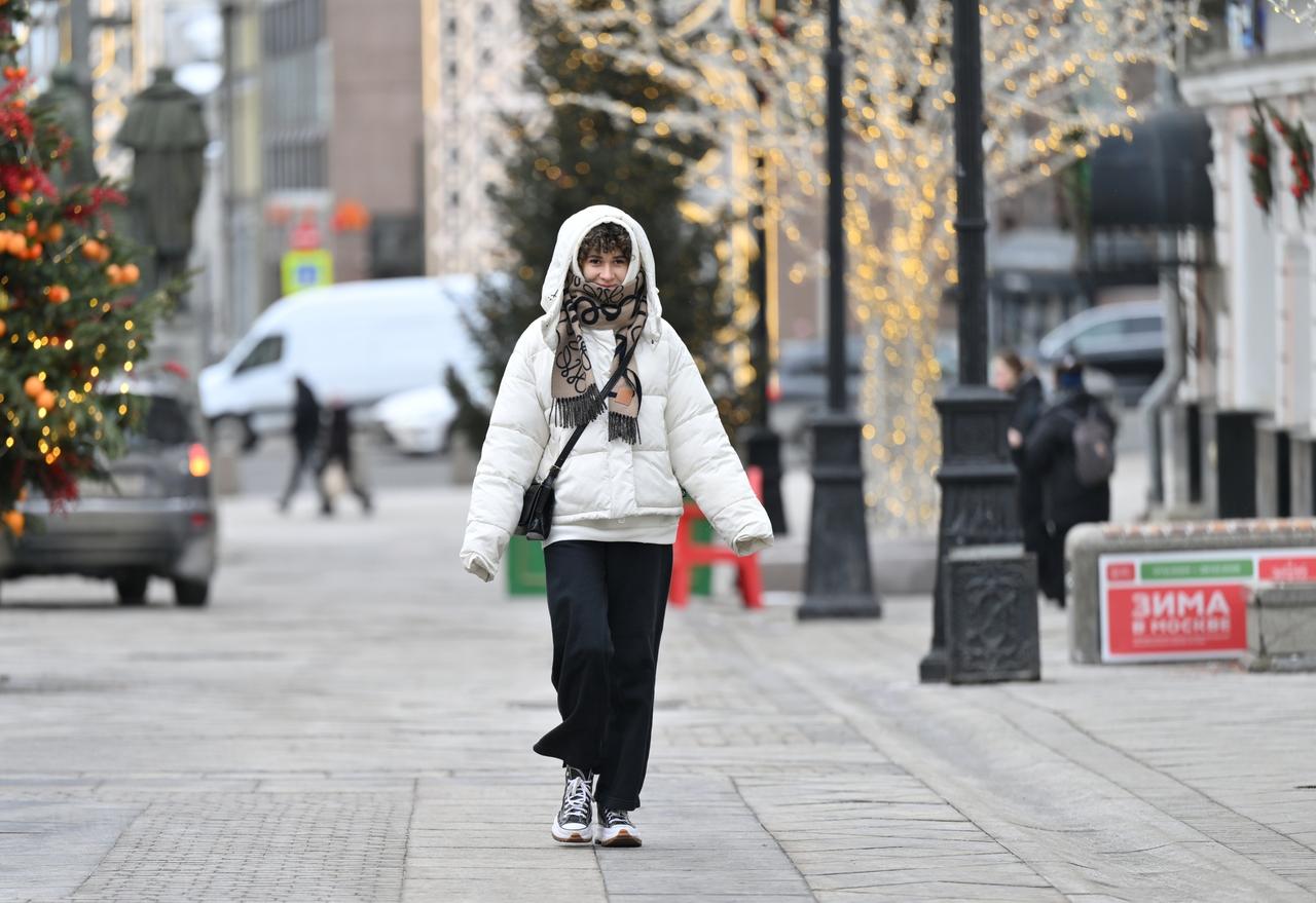 Назван срок наступления метеозимы в Москве